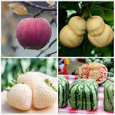 Top 10 Most expensive fruits in the world | दुनिया के 10 सबसे महंगे फल