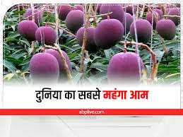 दुनिया के सबसे महंगे फल | 12 Most Expensive Fruits in the World | Costliest Fruits