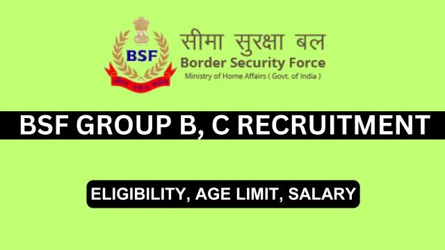 BSF Group B & C Recruitment 2024: Apply Online for 141 Posts